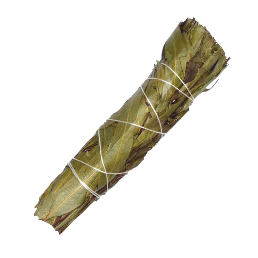 Eucalyptus Citriodora Cleansing Bundle (Smudge Stick) - 4 inch Herbs  