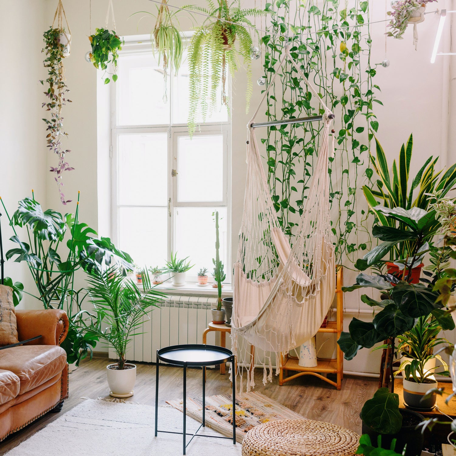 Home Decor