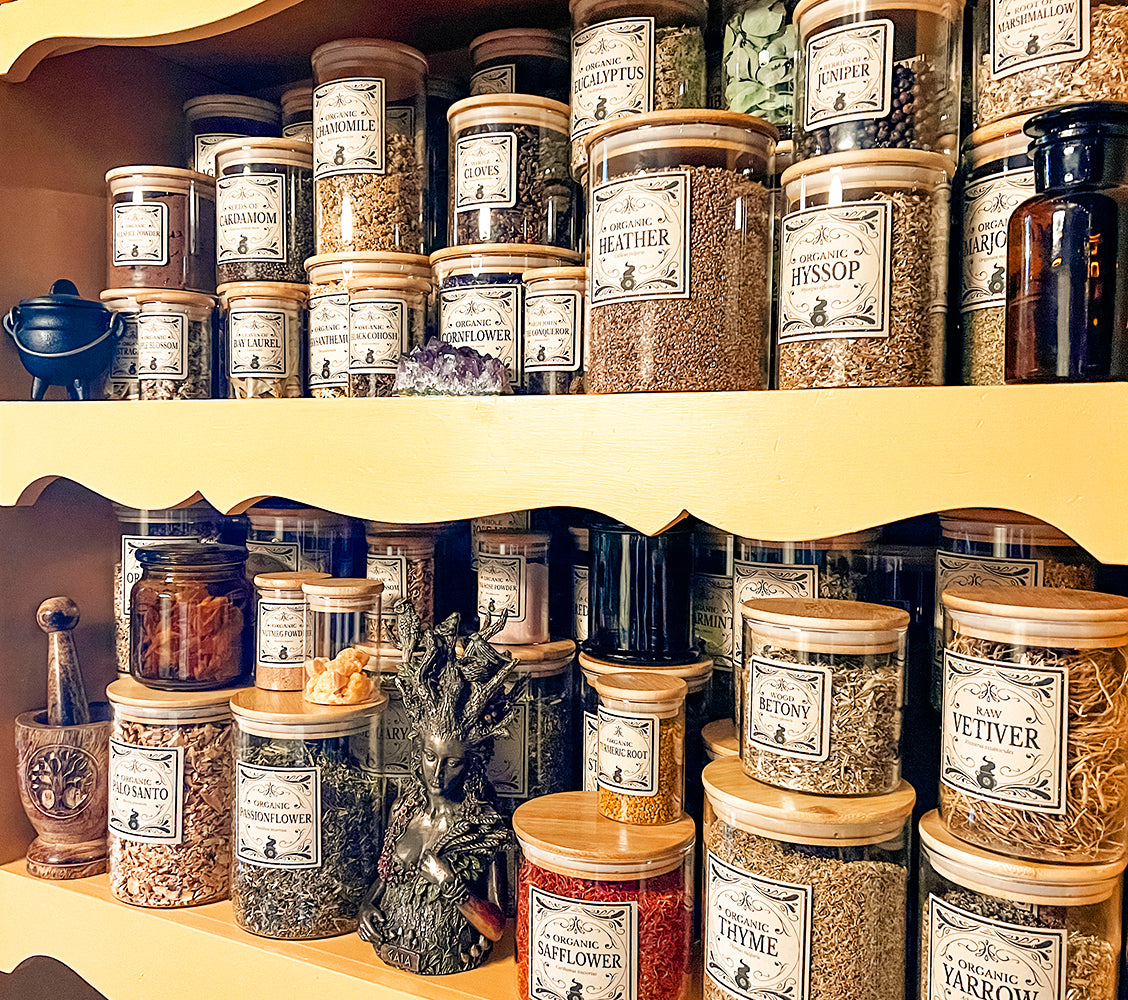 Photo of glass containers of herbs on shelves