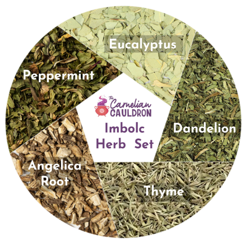 Organic Imbolc Herbs Set of 5: Angelica Root, Dandelion Leaf, Eucalyptus, Peppermint, Thyme