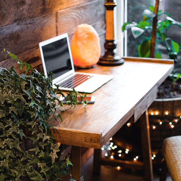 Photo of laptop on a desk with a salt lamp and plants.
