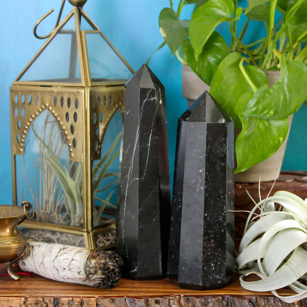Black Tourmaline Crystal Point - Large 6.75 - 7.5 inches tall Crystal Points  