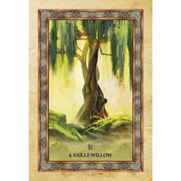 Celtic Tree Oracle by Sharlyn Hidalgo & Jimmy Manton Oracle Cards  