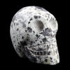 Dalmation Jasper Crystal Skull Carving - 2-3 inches tall Crystal Carving  