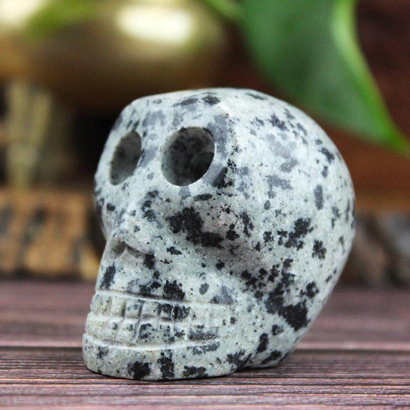 Dalmation Jasper Crystal Skull Carving - 2-3 inches tall Crystal Carving  