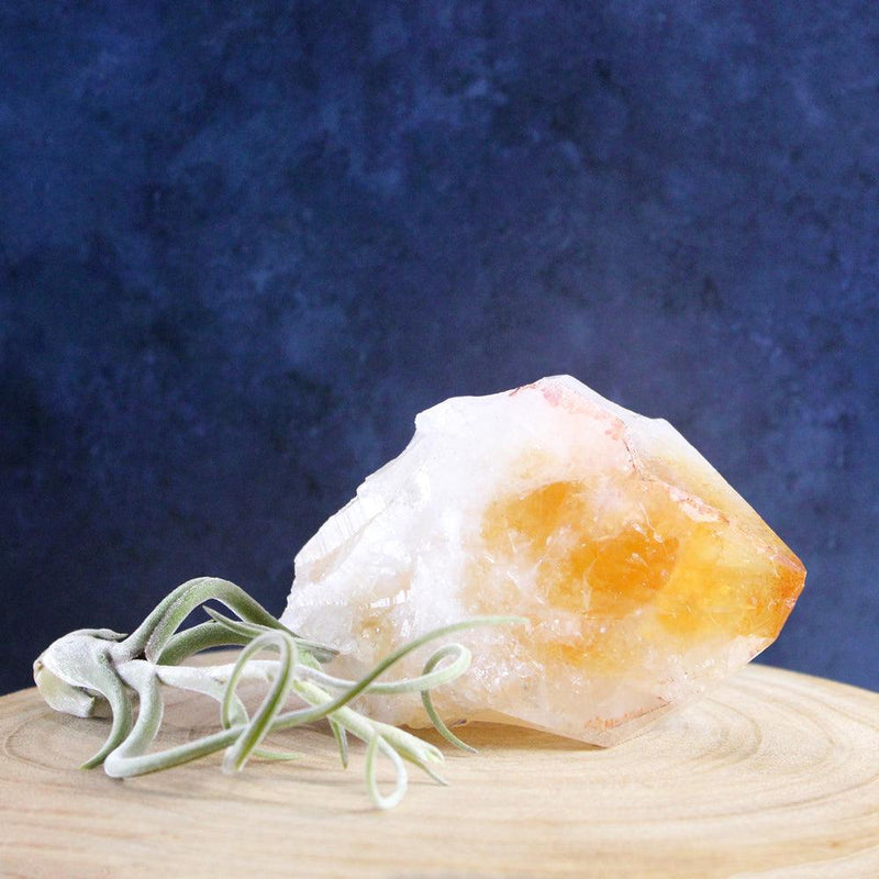 Large Raw Citrine Crystal Point Raw Crystals 2: 450-499 