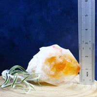 Large Raw Citrine Crystal Point Raw Crystals  