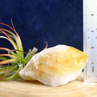 Large Raw Citrine Crystal Point Raw Crystals 3: 400-449 