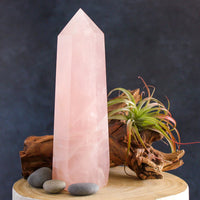 Rose Quartz Crystal Point - Large 9 inches tall Crystal Points  